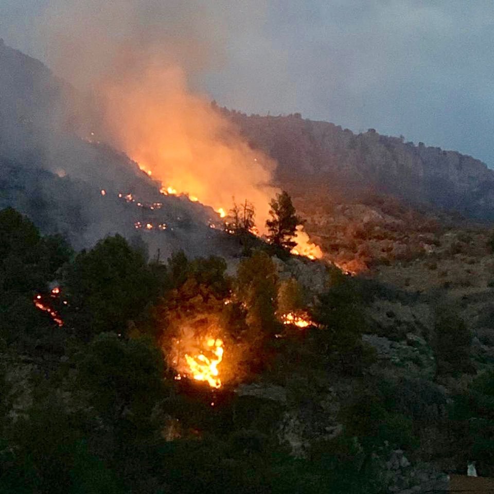 Paralajmërimi i Braçes: E qara për Amazonën është trendy, por Shëngjini dhemb më shumë!