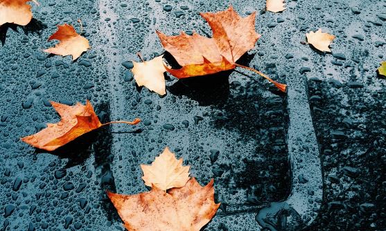 Pushime në shtator? Ja çfarë parashikojnë sinoptikanët