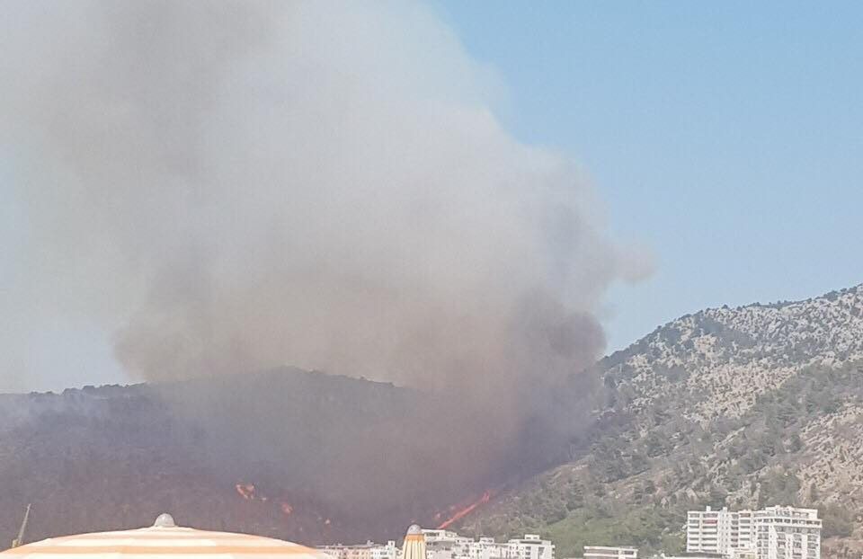 Lihen të lirë dy të arrestuarit për zjarrin në malin e Shëngjinit