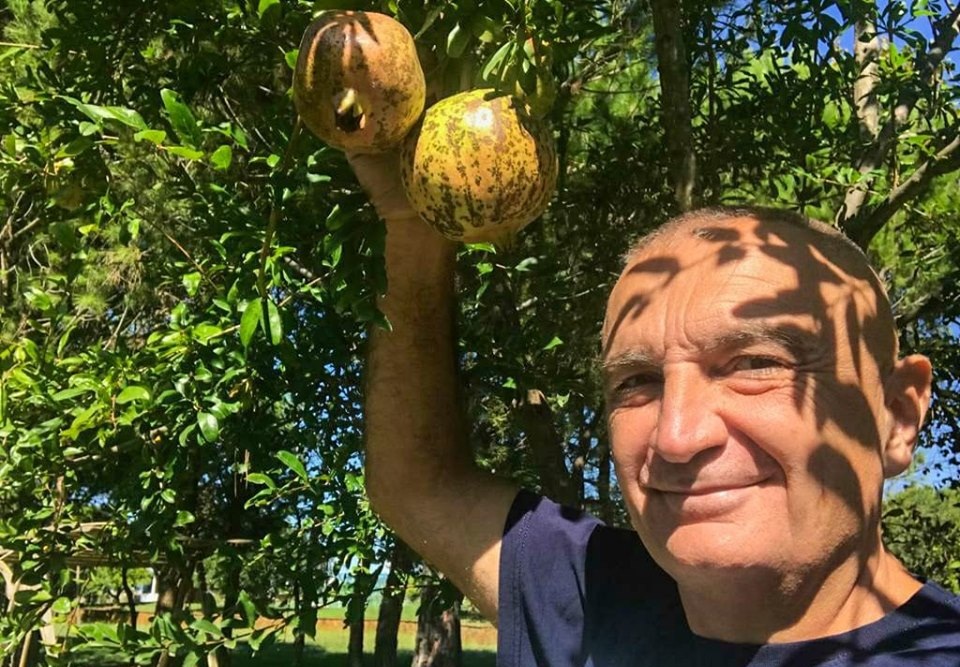 Për Metën lajm i mirë është se “shegët po piqen”…