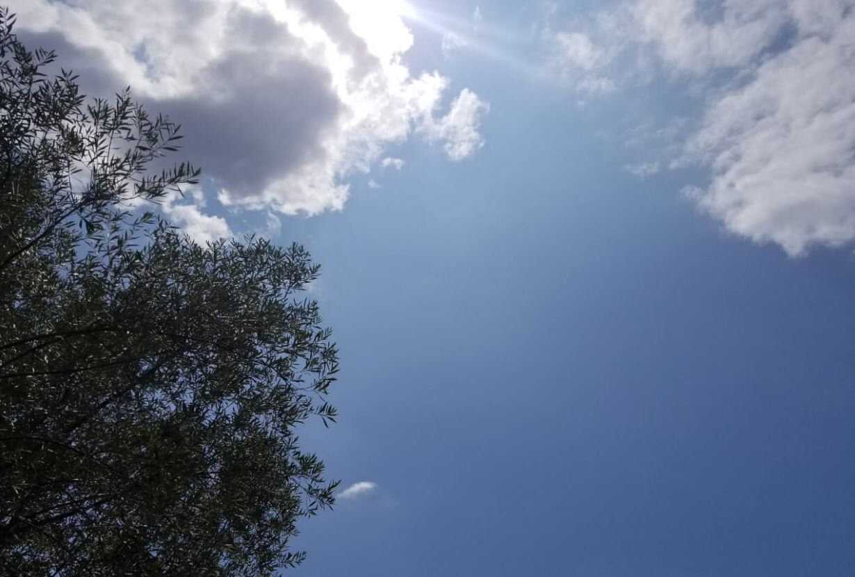 Parashikimi i motit, e shtunë 14 shtator