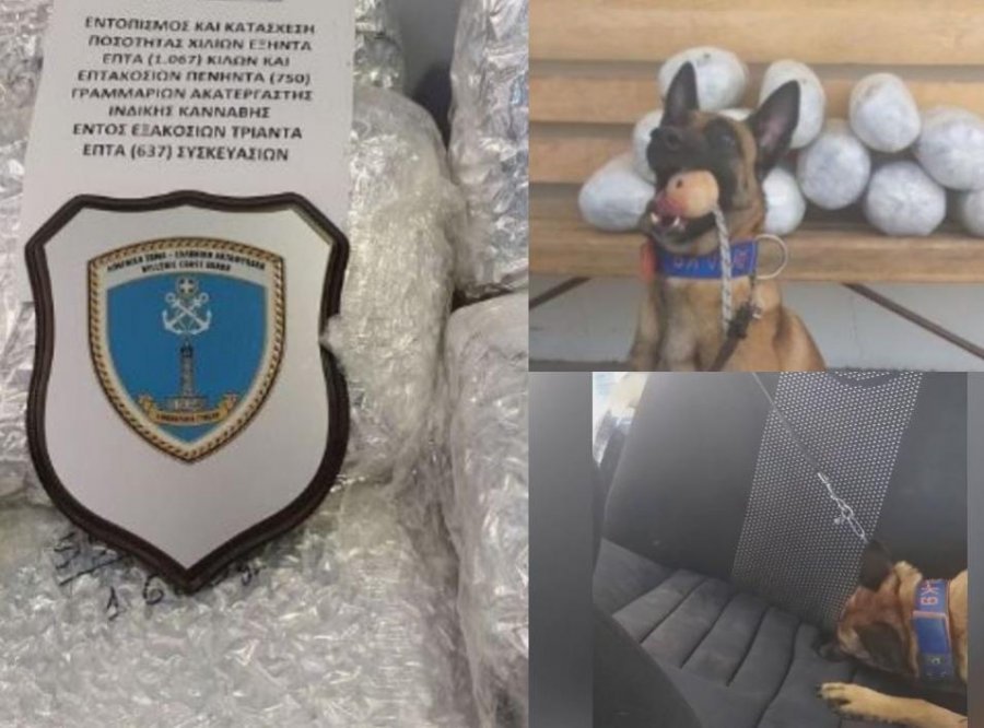 Qeni i bën “gropën” 22-vjeçarit shqiptar