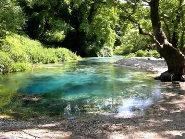 Kanabis edhe te Syri i Kaltër, arrestohen 4 persona