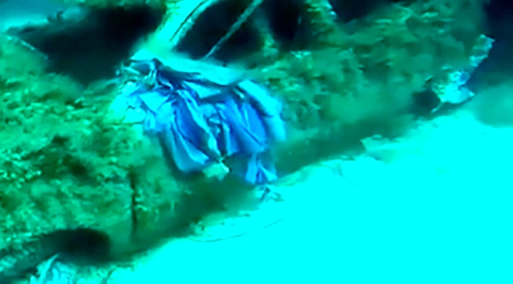 Ish-burri u gjet i vdekur pas 15 vitesh, flet shqiptarja: S’besoj se ishte një vrasje!