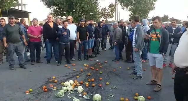 Tregtarët e Korçës në protestë, hedhin perime në mes të rrugës