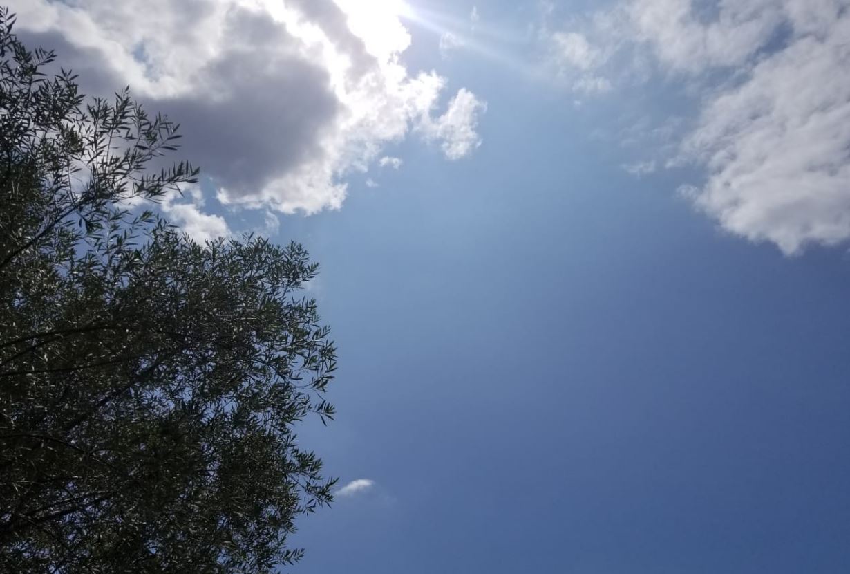 Parashikimi i motit, e premte 13 shtator