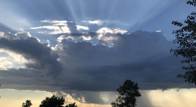 Parashikimi i motit, e martë 24 shtator