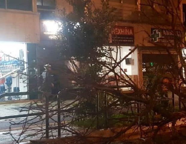 Stuhi në Tiranë, rrëzohen pemët, përmbyten disa rrugë (FOTO)