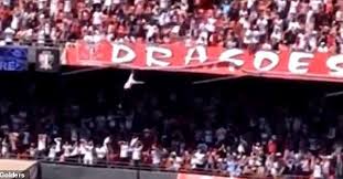 Tifozi bie nga tribuna gjatë festës nga 12 metra lartësi, por i ndodh… (VIDEO)