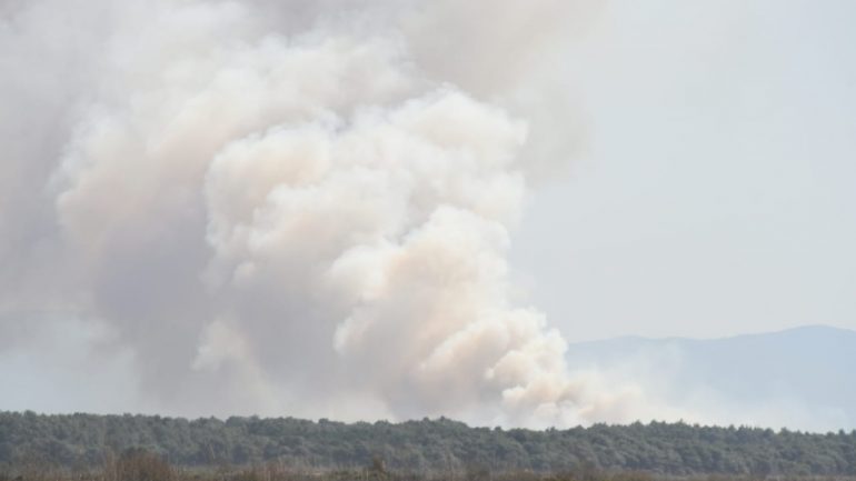 Zjarr në Krujë, shkrumbohen katër hektarë pisha