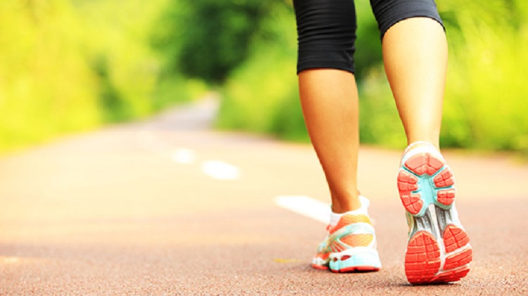 Sot, Dita Ndërkombëtare e Ecjes në Natyrë