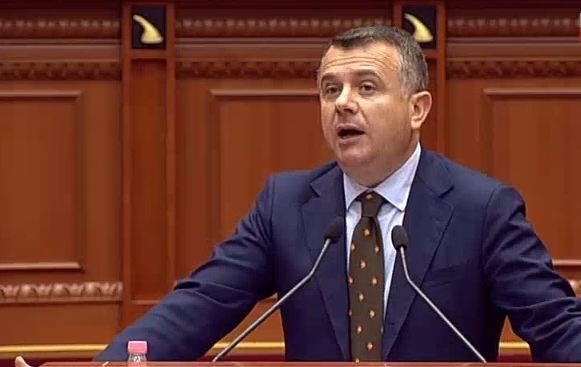 Mos hapja e negociatave, Balla: Eurodeputetët protestuan me flamuj të Shqipërisë në duar në PE