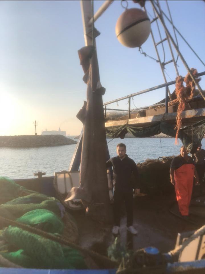 Pas një jave kapet në Durrës peshkaqeni i radhës, 450 kilogramë dhe 4.5 metra