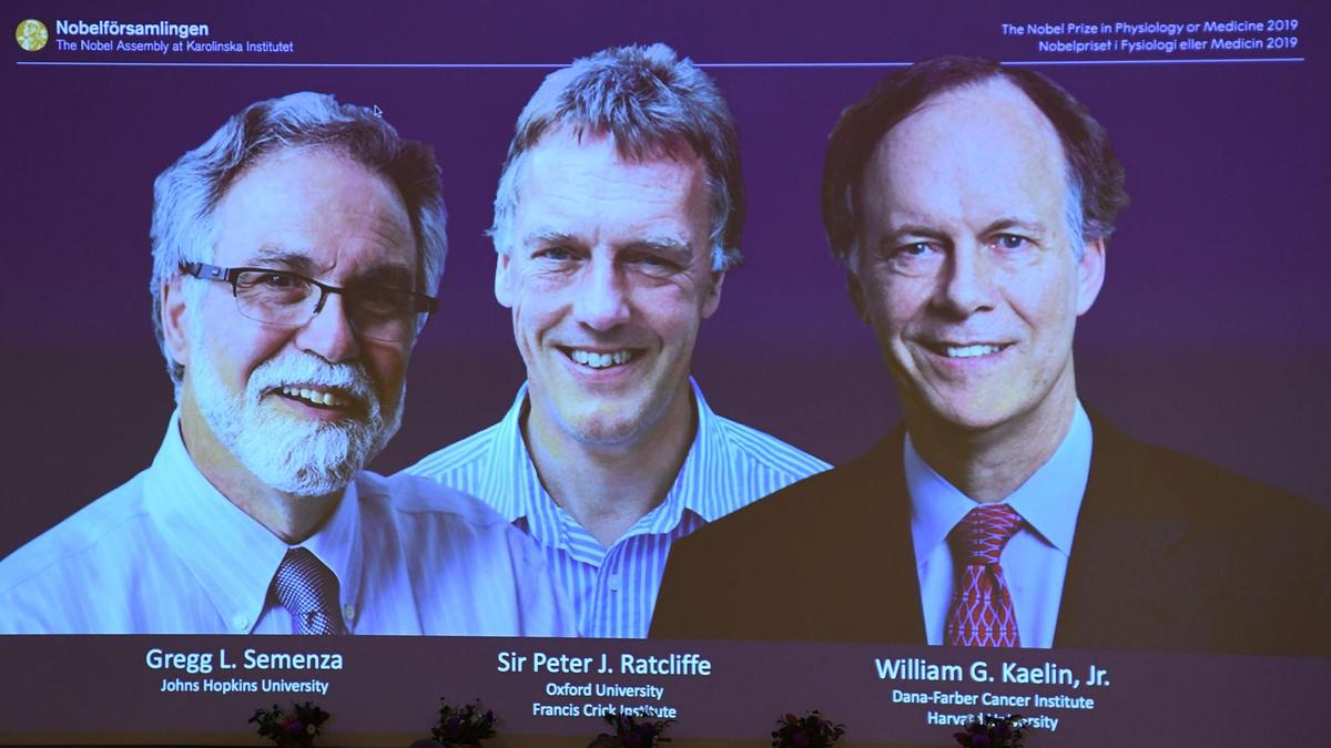 Zbulimi i rëndësishëm i 3 shkencëtarëve që fituan çmimin Nobel