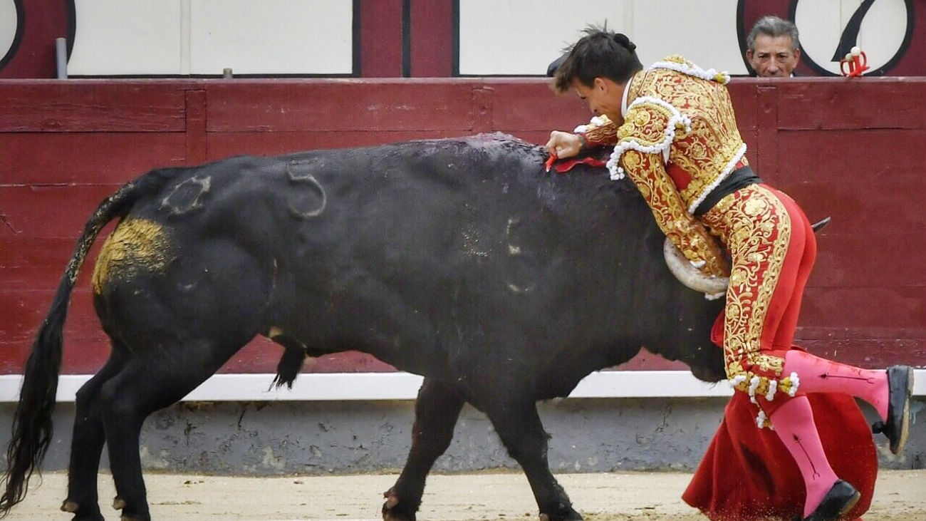 Tmerr në Spanjë/ Demi copëton dhëndrin e mbretit në sy të të dashurës (FOTO)
