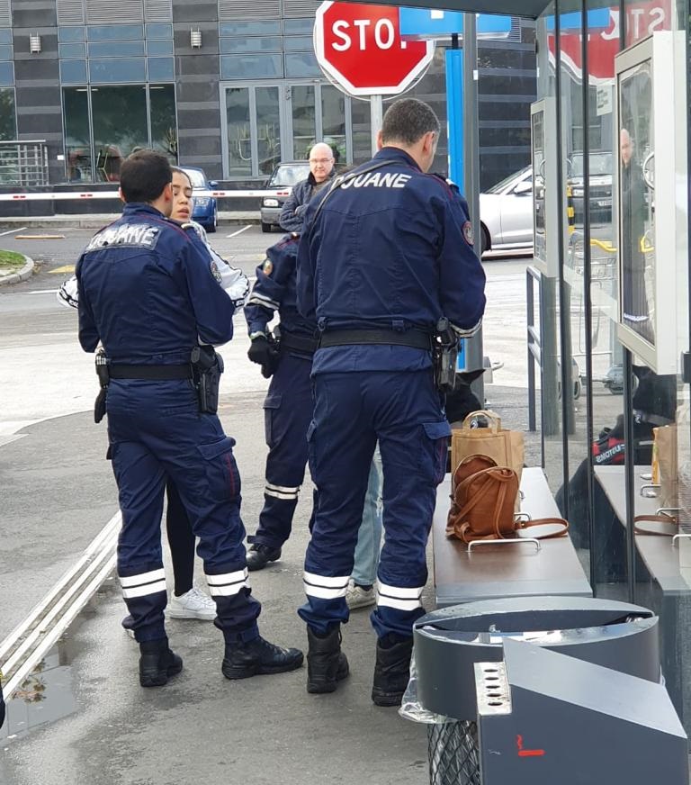 Qeni antidrogë nxjerr zbuluar transportuesen e lëndës narkotike