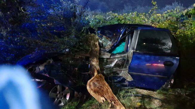 Përplaset me rrënjën e ullirit, shqiptari humb jetën në aksident