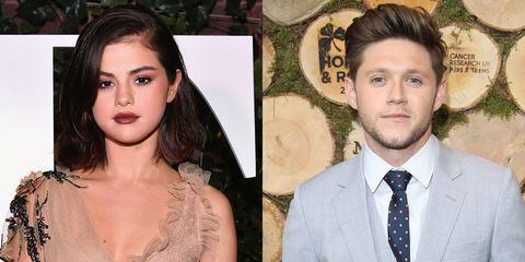 Mohojnë lidhjen? Faktet ‘tradhtojnë’ Selena Gomez dhe Niall Horan