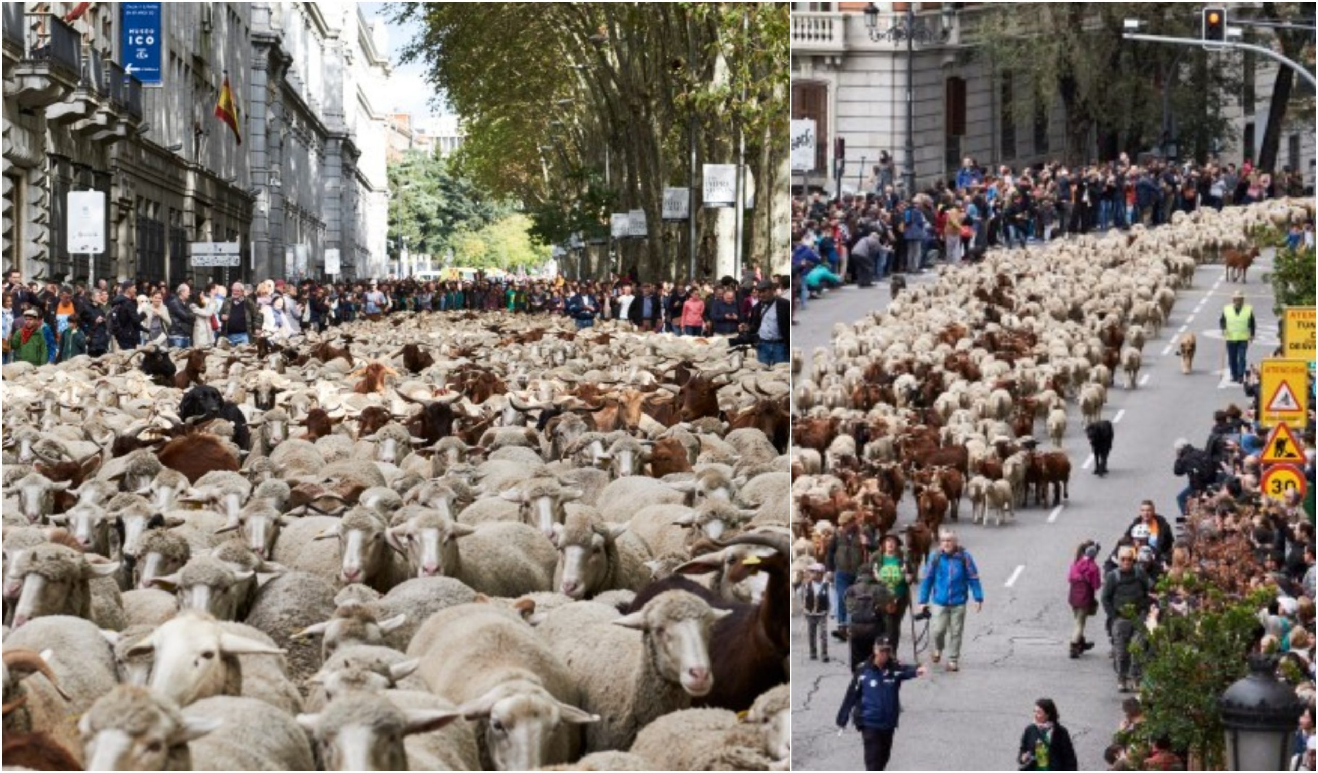 Delet “pushtojnë” Madridin