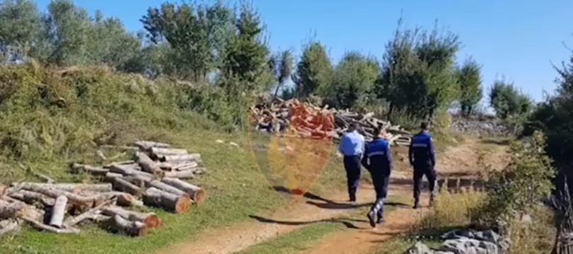 Kamionë të mbushur me dru, Policia në aksion: Gjoba për shoferët (VIDEO)