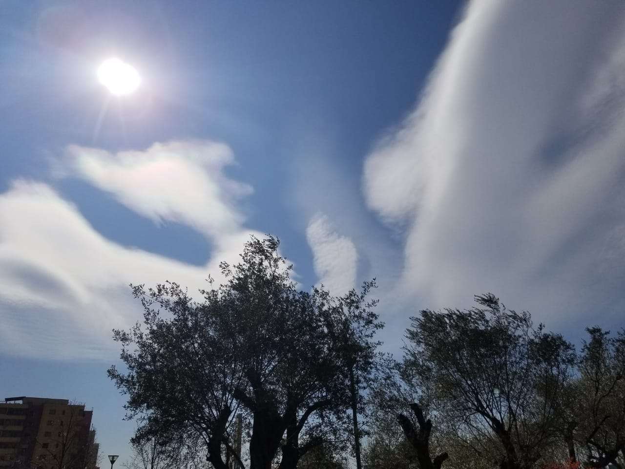 Parashikimi i motit, e hënë 7 tetor