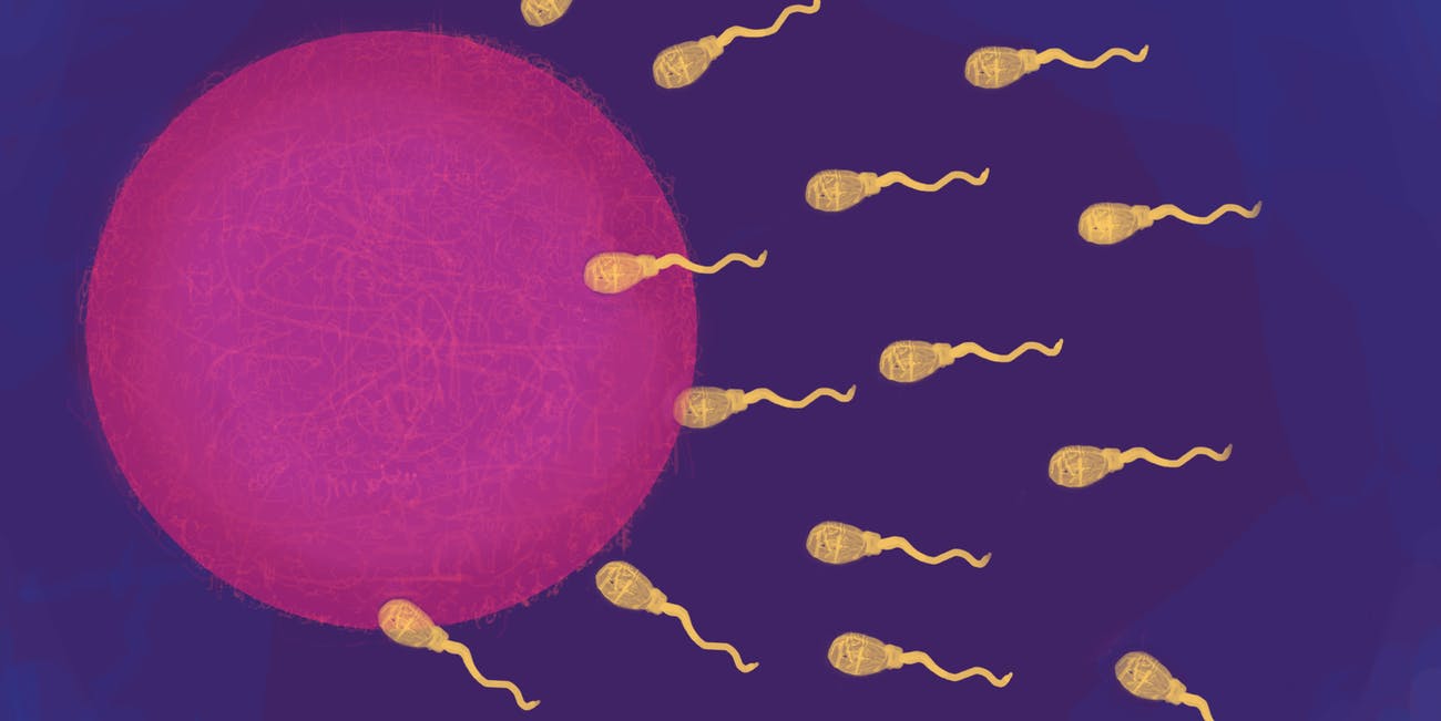 Ngrohja globale po ul riprodhimin