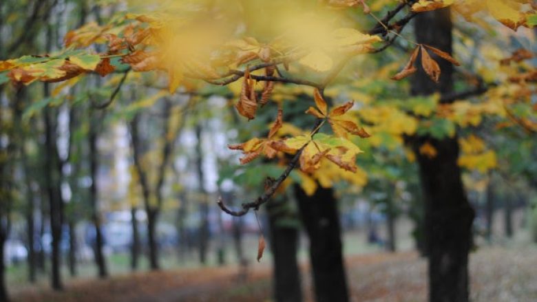 Ulen temperaturat, parashikimi i motit për sot