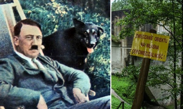 “Strofulla e ujkut”, zbulohet kopshti personal i Adolf Hitler (FOTO)