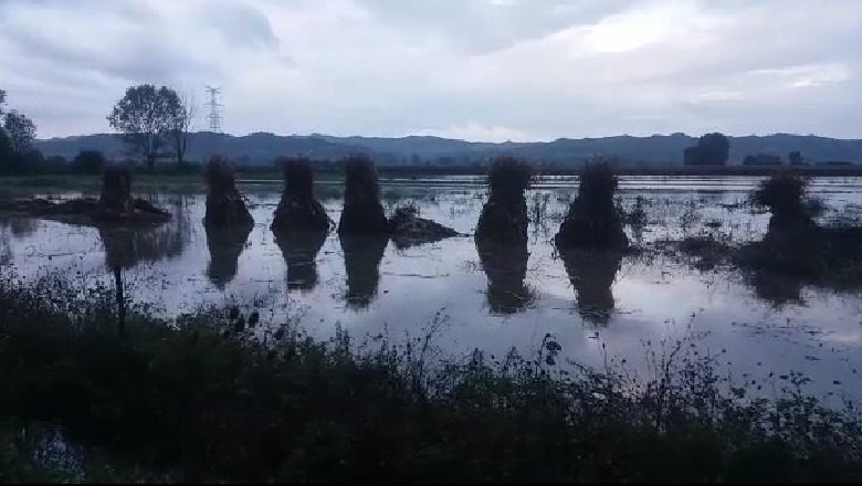 Shirat gjatë natës, lumi Ishëm del nga shtrati në dy fshatra të Fushë-Krujës