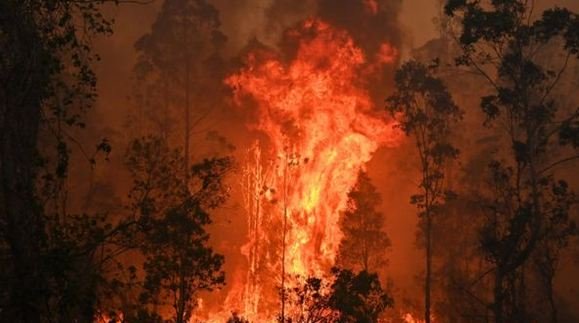 Zjarret në Australi/ 3 të vdekur dhe me mijëra të larguar nga shtëpitë