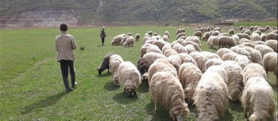 Zhduket bariu, prej 2 ditësh askush s’di gjë për të