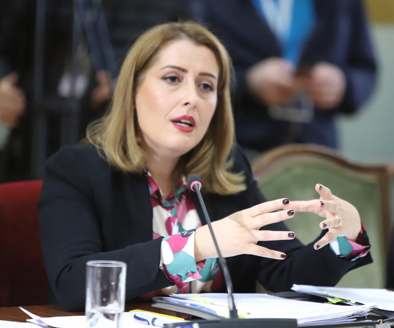 Manastirliu: Partneritetet Publike-Private kosto-efektive, nis financimi për laboratorët