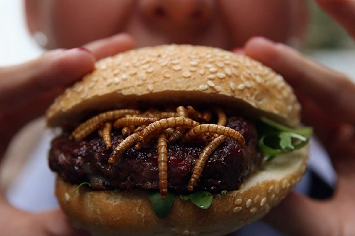 Hamburger me krimba, punonjësit: Janë më të shijshëm se mishi i viçit