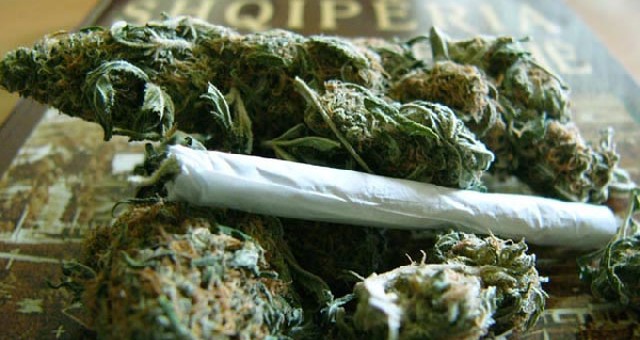 Gruaja fshihte hashash në vende intime, e fuste në burgun e Fushë-Krujës, pezullohen 8 punonjës