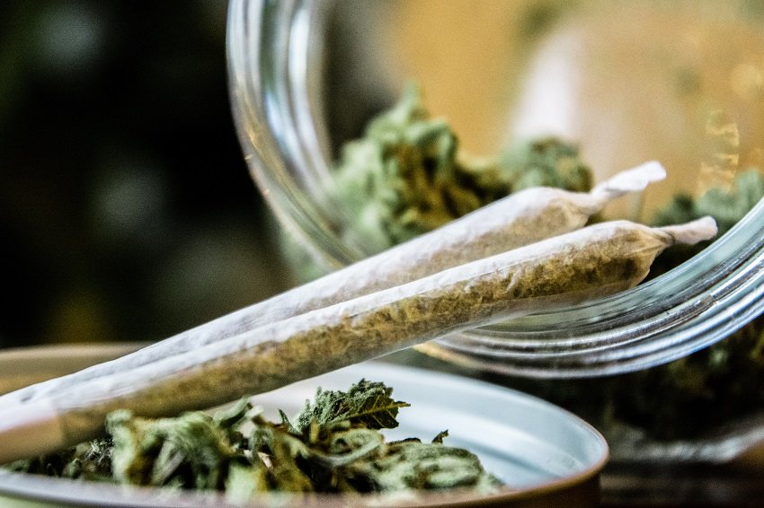 Kompania ofron 3000 dollarë në muaj, që të testosh… hashash çdo ditë!