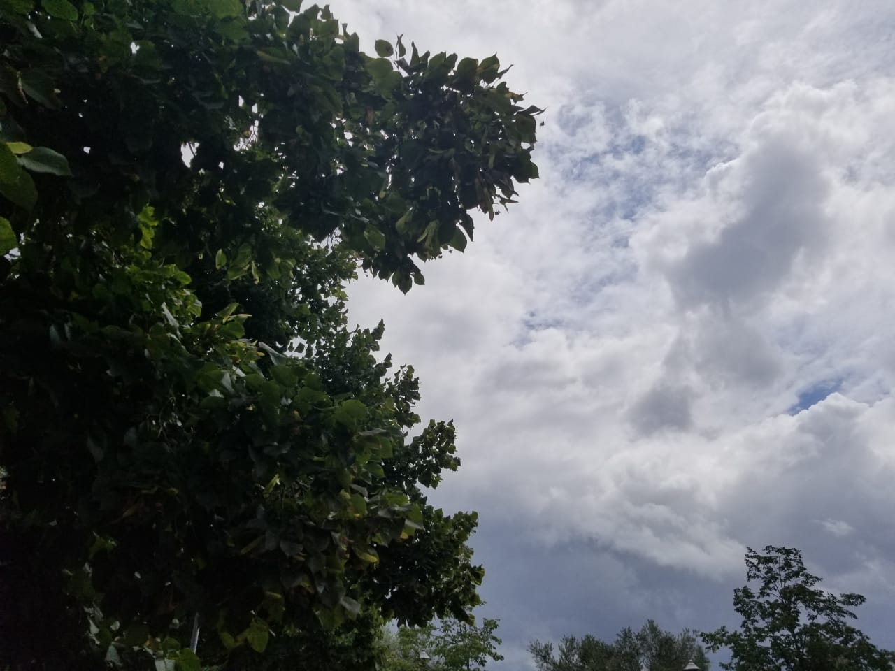 Parashikimi i motit, e martë 19 nëntor