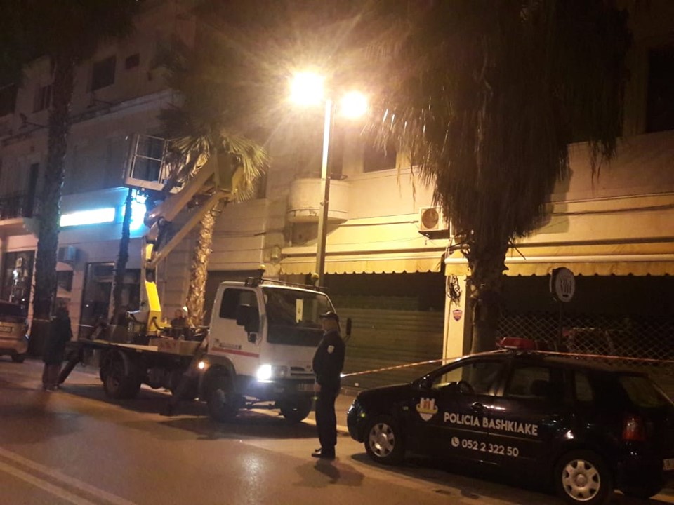 Nis krasitja e palmave të Durrësit (FOTO)