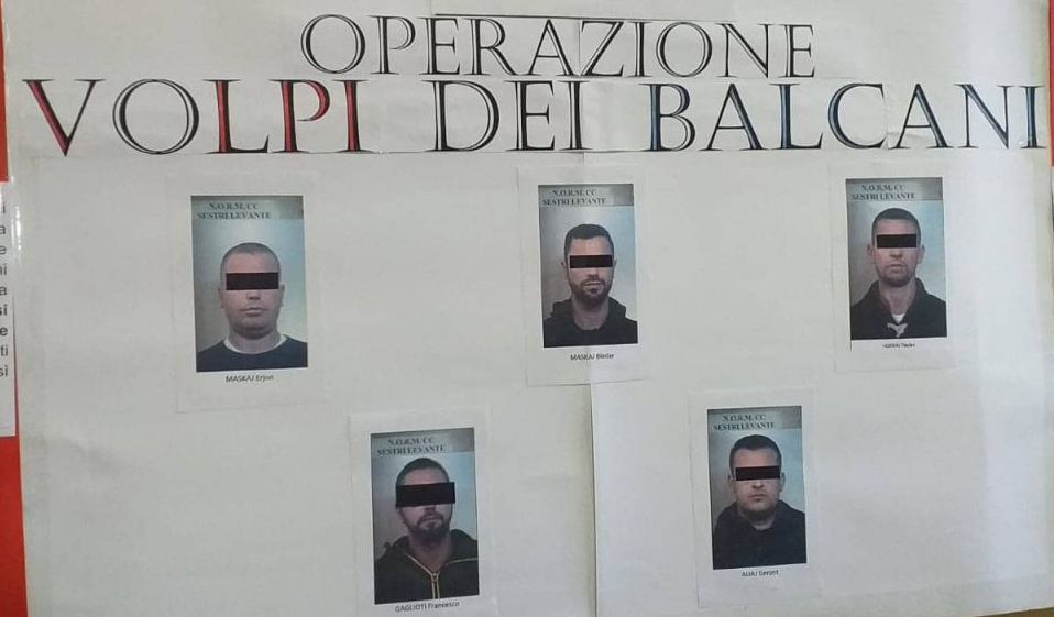 “Dhelprat e Ballkanit”/ E groposnin drogën në pyll, arrestohen 4 trafikantët shqiptarë (EMRAT)