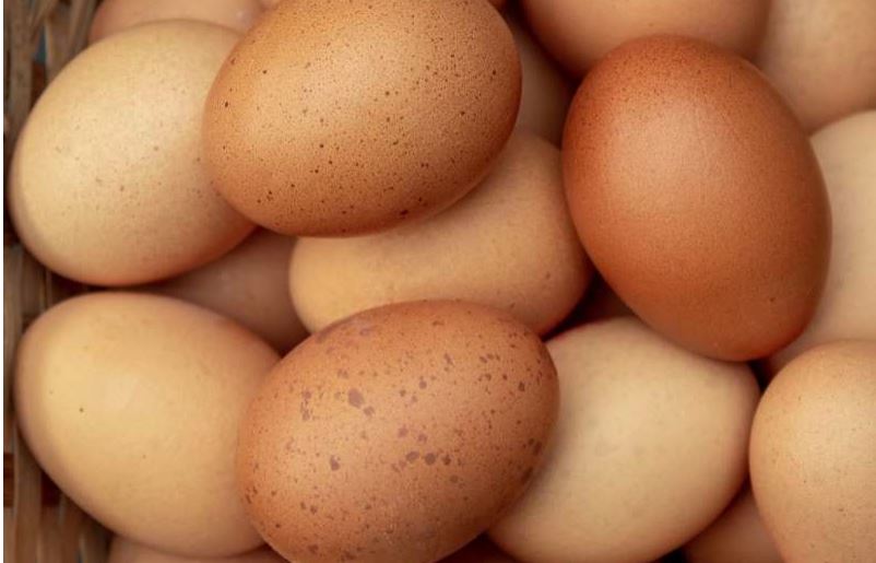 Hëngri 41 vezë që të fitonte bastin, humb jetën