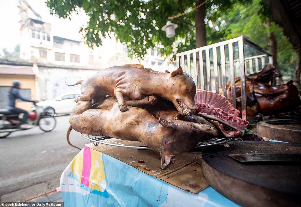Qentë shiten për qebap, pamje të tmerrshme e të rënda nga tregu i mishit (FOTO)