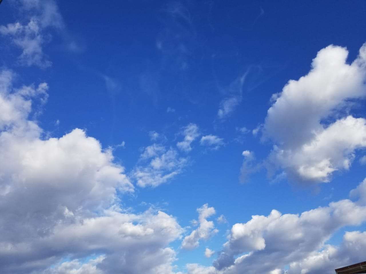 Parashikimi i motit, 31 dhjetor 2019