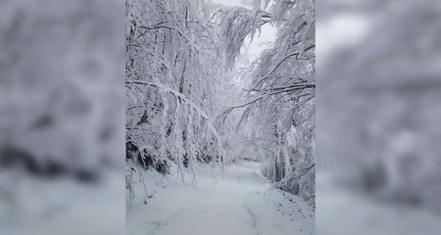 Dëbora zbardh parkun e Thethit