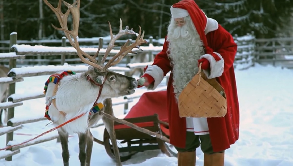 Dreri i Arktikut shpresë për njerëzimin