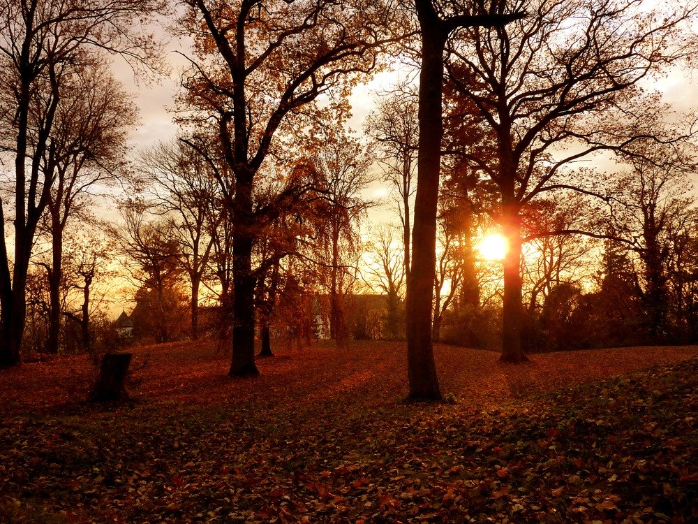 Nëntori i këtij viti, i dyti më i ngrohtë në 140 vitet e fundit