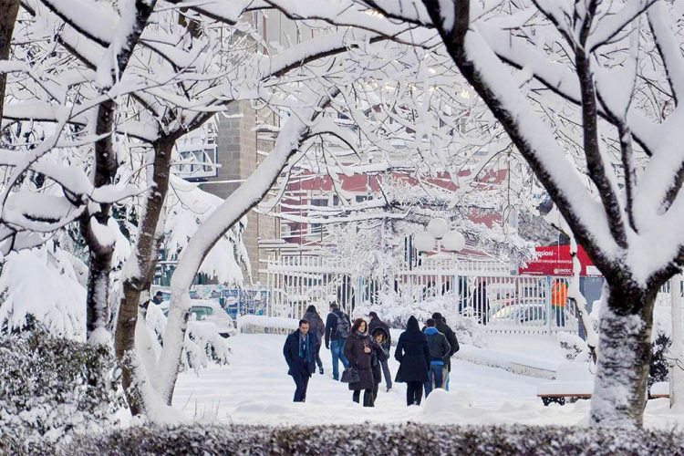 Depresioni gjatë dimrit, pse ndodh dhe si ta parandaloni