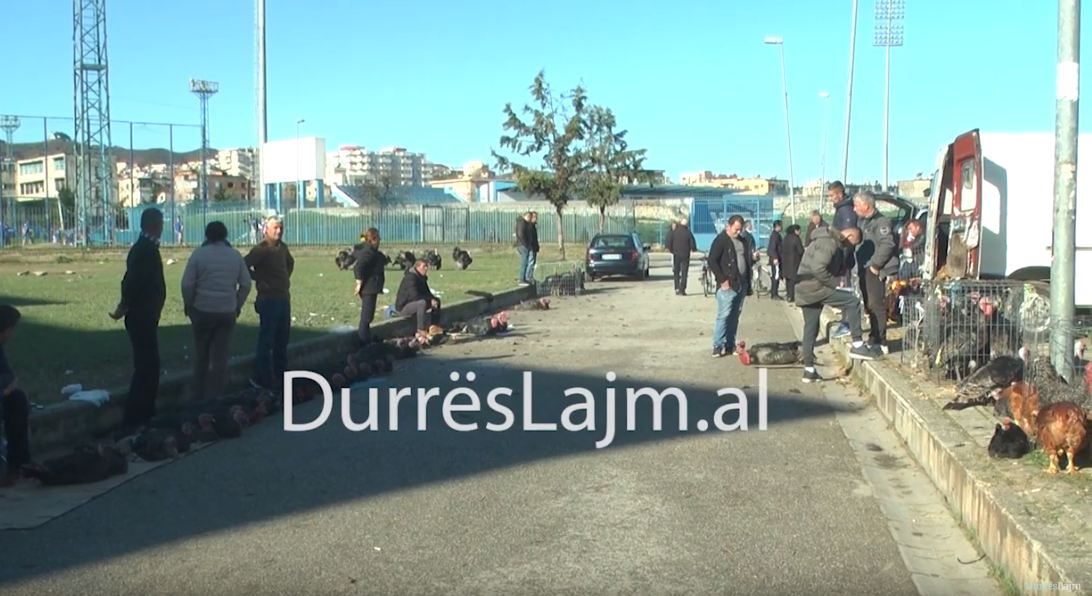 Gjeli i detit nuk mungon në tryezën e durrsakëve as këtë vit (VIDEO)