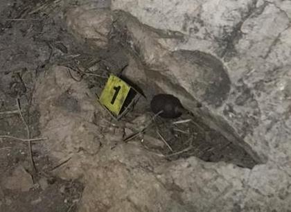 Zbardhet ngjarja, 28-vjeçari dhunonte nusen, i hodhi granatë edhe shtëpisë së vjehrrit