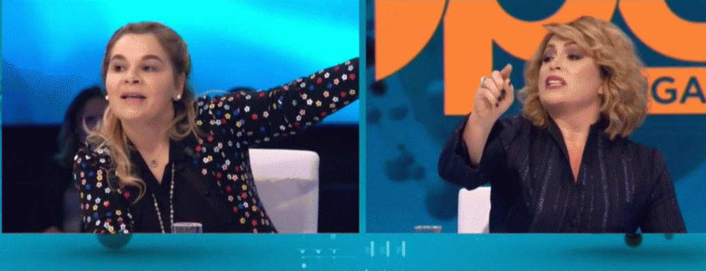 Përplasje e fortë mes Eni Vasilit, Alban Dudushit dhe Monika Kryemadhit në transmetim LIVE