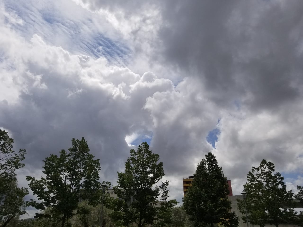 Parashikimi i motit, 24 dhjetor 2019