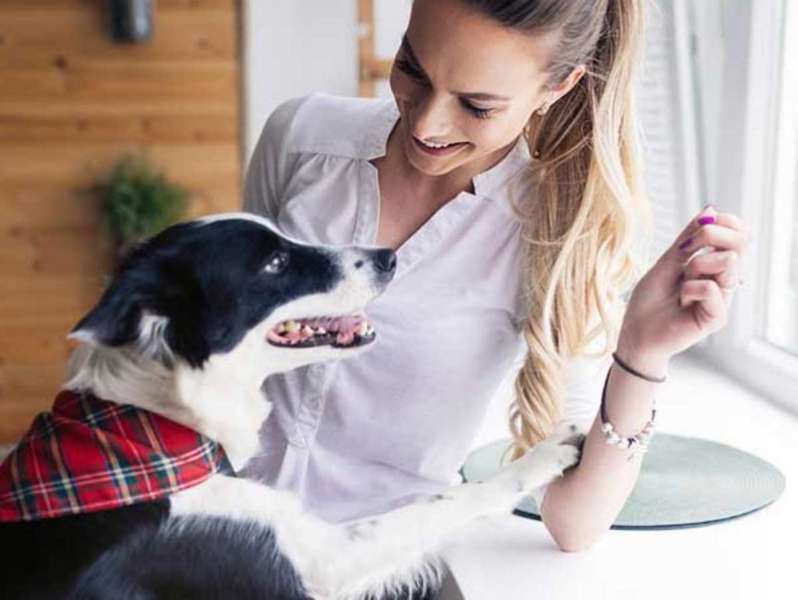 E thotë dhe shkenca: Një qen ju zgjat jetën